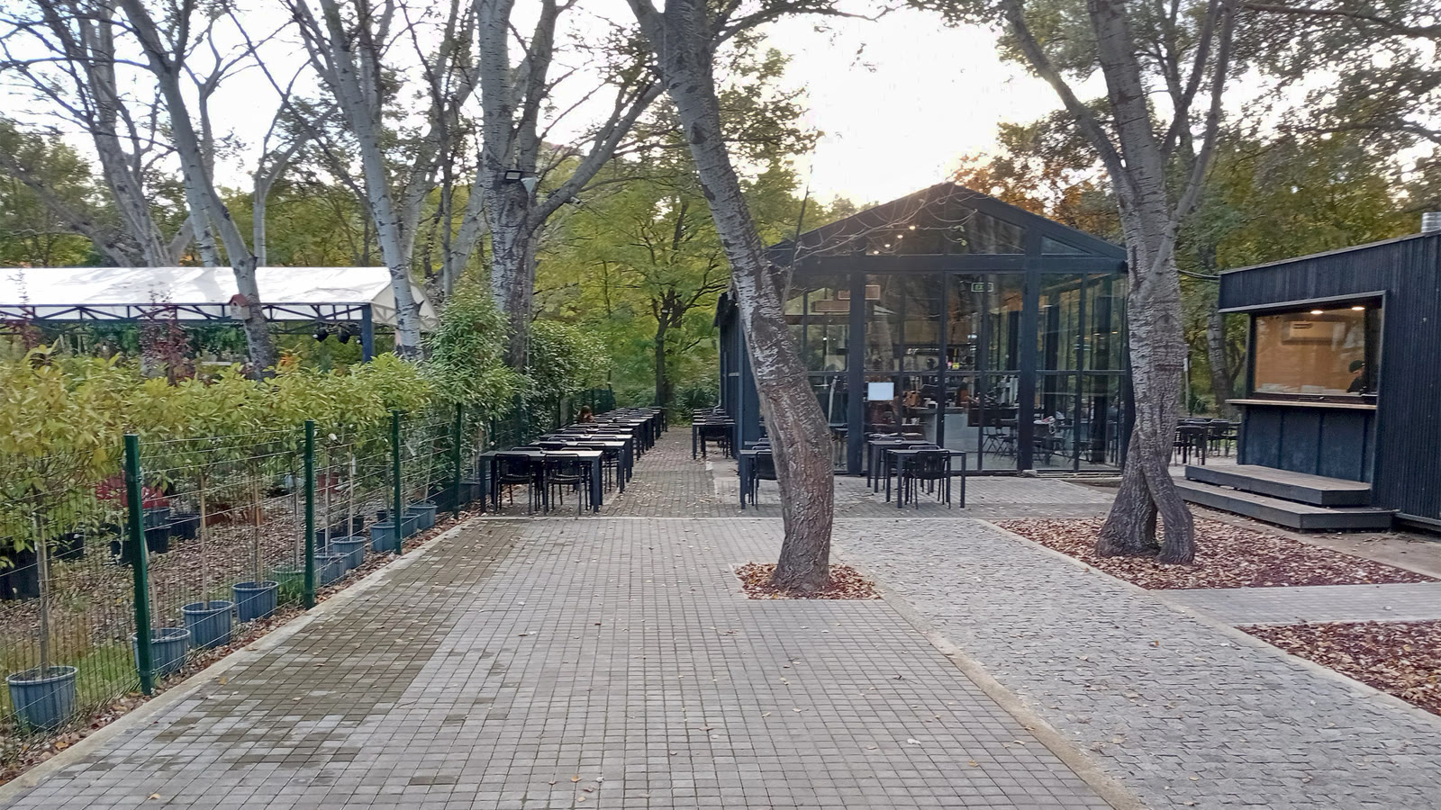 Coffee Lab terrace in Lisi Park, Tbilisi